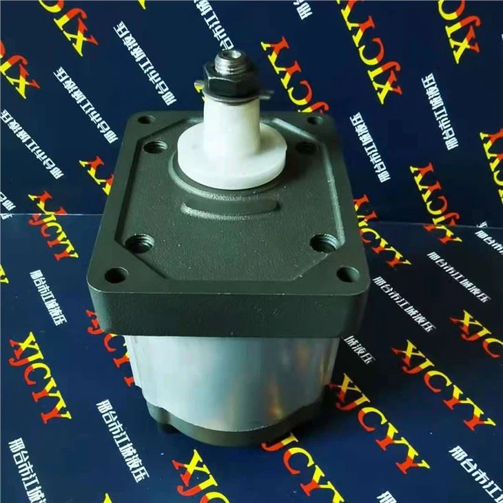 Massey Ferguson Hydraulic Gear Pump